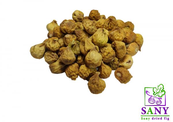 زراعة و فلاحة التین 