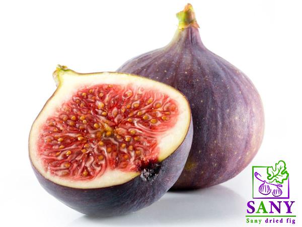 شرکات انتاج التین الاحمر