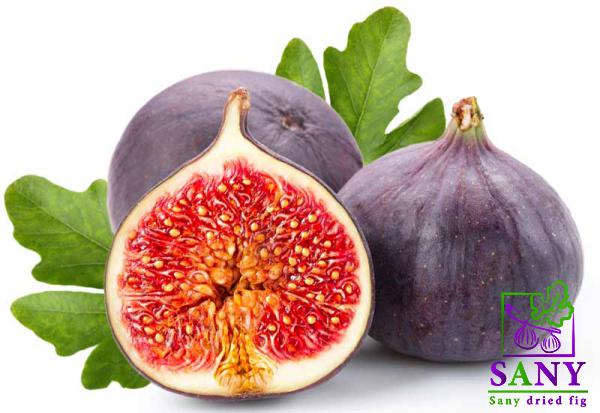 معامل تخزین التین الطازج