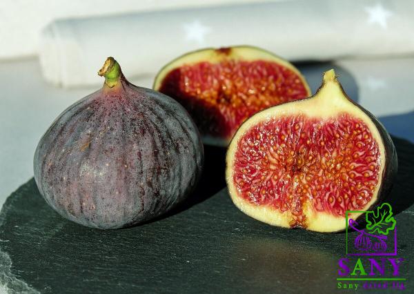 بیع و شراء تین الاحمر