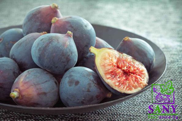 مراکز تصدیر التین الاسود