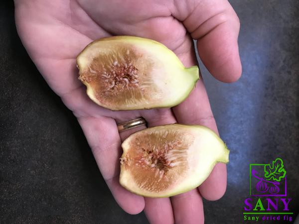 اتسويق المحلي التین الذهبی